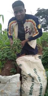 It was originally developed by morihei ueshiba, as a synthesis of his martial studies, philosophy and religious beliefs. Local Guides Connect My Farm My Wealth Local Guides Connect