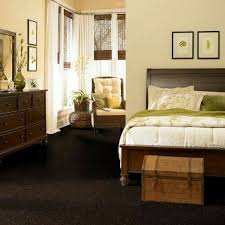 Dark Brown Carpet Light Walls Earth Tones Could Work In The Bedroom He Hates White Walls Though Living Room Carpet Blue Carpet Bedroom Bedroom Carpet