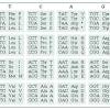 Genetic mutations pogil answer key grosirpakanburung com. 1