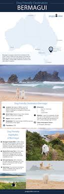 Are service animals allowed on cruises? Dog Friendly Destination Bermagui Nsw Puppy Tales