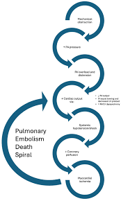 Image result for Bova Score