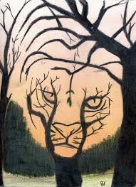 Image result for illusion pictures