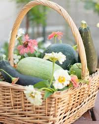 How We Saved Money This Past Week