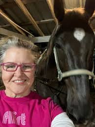 Saddlebred horse enthusiast introduction