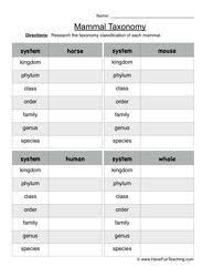 Biological Classification Worksheet Answer Key Pdf Mammal Taxonomy Worksheet Worksheets Science Worksheets Animal Worksheets
