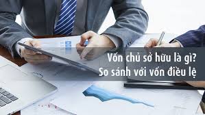 Vốn chủ sở hữu là gì? Phân biệt vốn chủ sở hữu và vốn điều lệ - PineTree  Securities