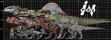 45 Unfolded Align T Rex Size Chart