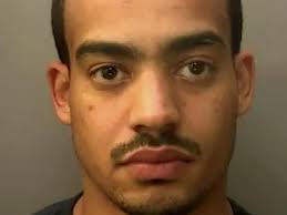 Man fed ferret to dog 'for his own enjoyment'