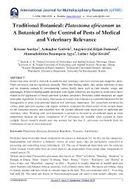 Image result for Platostoma africanum