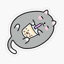 Loved when our cat had kittens when i was a child. Chubby Cat Gifts Merchandise Redbubble