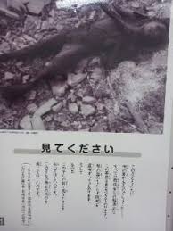 We did not find results for: ãƒŽãƒ¼ãƒ¢ã‚¢åºƒå³¶ é•·å´Ž Machanã®ä¸‡æ­©è¨ˆ