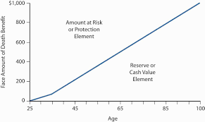 Mortality Risk Management Individual Life Insurance And