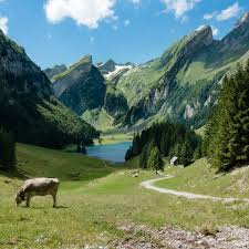 The name helvetia derives from a celtic tribe called helvetians that settled in the region in the second century b.c. Switzerland The Land Of Happy Cows Gogetlost