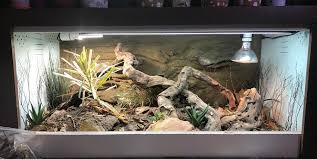 Bearded Dragon Bioactive Finally Finished Album And Info In Comments Herphomes Bearded Dragon Bearded Dragon Terrarium Bearded Dragon Tank