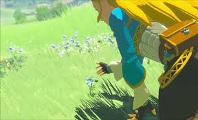 It took a few hours for anything visual to happen. Spoilers Flowers Name In Breath Of The Wild Zelda Amino