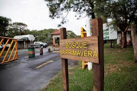 Información, fotos y videos en milenio. Durante El Periodo De Semana Santa El Bosque La Primavera Abrira Con Protocolo Sanitario Covid 19 Afmedios Agencia De Noticias
