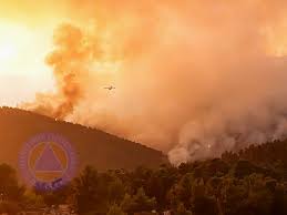 Jul 05, 2019 · διαβάστε επίσης όλες τις τελευταίες εξελίξεις σχετικά με τις επερχόμενες εθνικές εκλογές 2019. Enhmerwsh Gia Thn E3eli3h Ths Dasikhs Pyrkagias Sta Psaxna Eyboias Genikh Grammateia Politikhs Prostasias