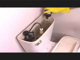 How To Clean Your Toilet From Top To Bottom In 2020 Toilet Cleaning Bathroom Cleaning Toilet Cleaning Hacks
