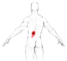 You use your shoulders every time you move your arms, but back muscles get less exercise. Erector Spinae Muscle Pain Trigger Points