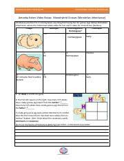 Ncert solutions for class 10 science chapter 9 heredity and evolution are provided here are in an easy to understand way as per the cbse term ii exam pattern. Amoeba Sisters Video Recap Monohybrid Crosses Mendelian Mysterious Fred A Course Hero