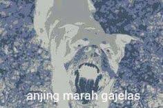 Receh sih tapi sukses bikin ngakak. 39 Ide Anjing Anjing Meme Anjing Cartoon Jokes