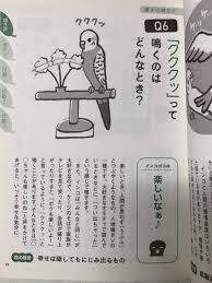 磯崎哲也『インコ語レッスン帖』初版｜PayPayフリマ