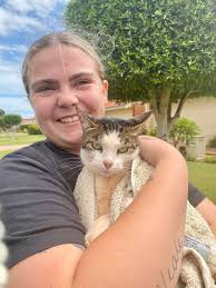 How to get a cat stuck in the wall out?