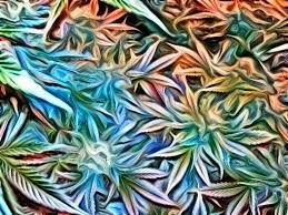 And send me your art if. Creative Trippy Weed Drawings Novocom Top