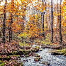 Profile for Curt Boggs