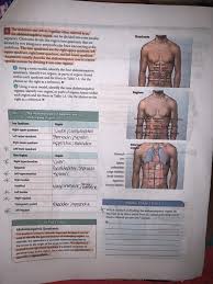 In anatomy and physiology, you'll learn how to divide the abdomen into nine different regions and four different quadrants. Solved For Part A Answer A H For Part B Answer The Ones Chegg Com