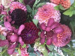 We did not find results for: Maryland Cut Flowers Local Flower Farm Carroll County Md Cut Flowers By Clear Ridge