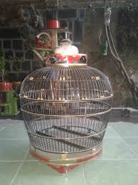 Kandang burung top hitam sangkar besi lovebird kenari blackthroatrp125.000: Jual Beli Sangkar Bekas Njoyo Madiun