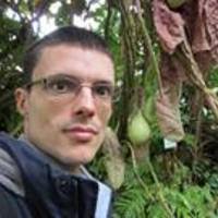 PDF) I gesuiti e la nobiltà polacco-lituana nel tardo periodo sassone  (1724-1763). Cultura e istruzione fra tradizione e innovazione, Poznań,  Wydawnictwo Instytutu Historii UAM, 2014