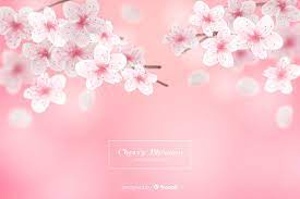 Polish your personal project or design with these cherry blossom background transparent png images, make it even more personalized and more attractive. Free Vector Realistic Cherry Blossom Background