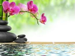 L Instant Zen Les Blablas De Dame Papote Fond Ecran Zen Deco Stickers Fond D Ecran Orchidee