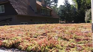 Die Schnelle Preisgunstige Und Leichte Anlage Ihres Grundachs Dachbegrunungtotal In 2020 Trapezblech Dach Dachbegrunung Dach