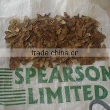 Image result for Dioscoreophyllum