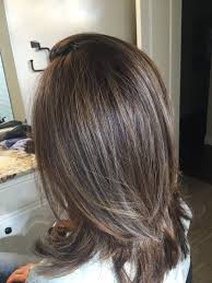 Caramel Babylights Perfect To Disguise Gray Hair Brunette Hair Color Hair Styles Blending Gray Hair