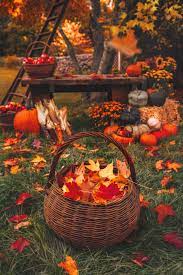 Autumn Harvest Classy Girls Wear Pearls Fall Harvest Autumn Cozy Fall Halloween Decor