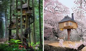 Ver más ideas sobre casa del arbol, arboles, casas. 12 Casas En Arboles Que Parecen Sacadas De Un Cuento Casas Increibles