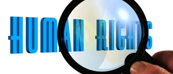 Image result for ccdu