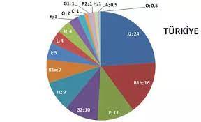 The languages spoken by the majority are turkish and kurdish, while minority groups speak other languages. What Race Are Turks Quora