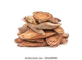 Image result for Salacia orientalis