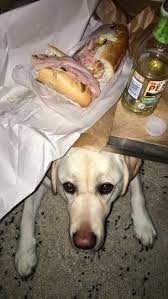 These products are not intended to diagnose, treat, cure, or prevent any disease. Tlc Pet Food Reddit Echa