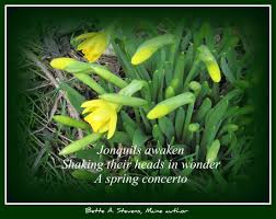And yet i wanted to figure out what is so healing about haiku? Write A Spring Haiku Get The Kids Writing Too Bette A Stevens Maine Author