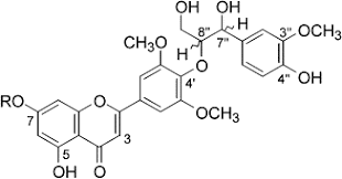 Image result for Hyparrhenia collina
