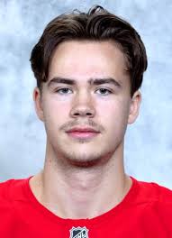 Player photos for the 2021-22 Rogle BK Angelholm at hockeydb.com