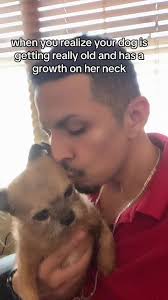 I Got Lil Older Dogs Meaning