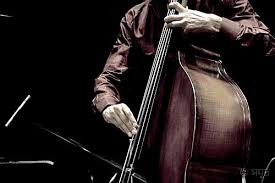 Image result for upright double bass