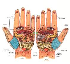 Reflexology Of The Hand Hand Reflexology Reflexology
